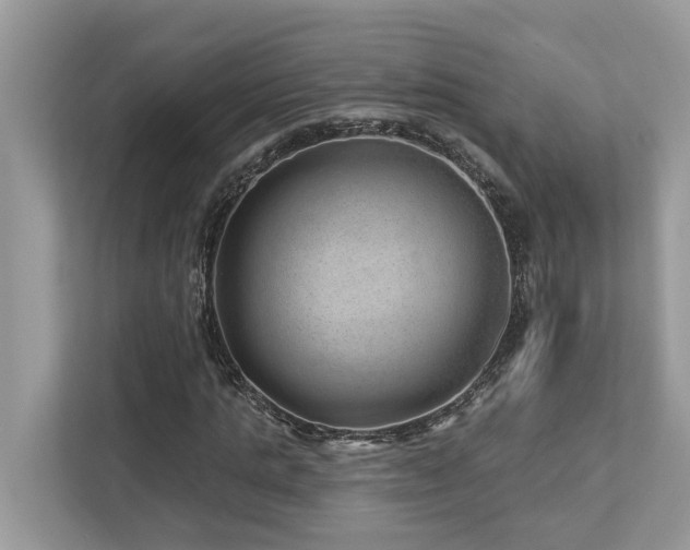 X0000112980821200908271141