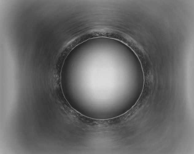 X0000112980822200908271141