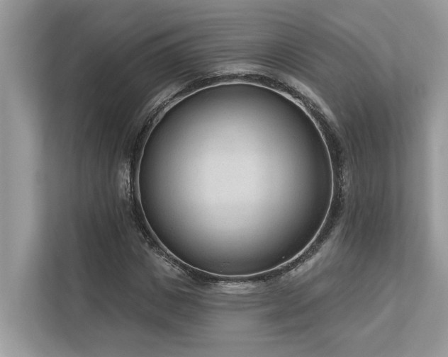 X0000112980825200908271141