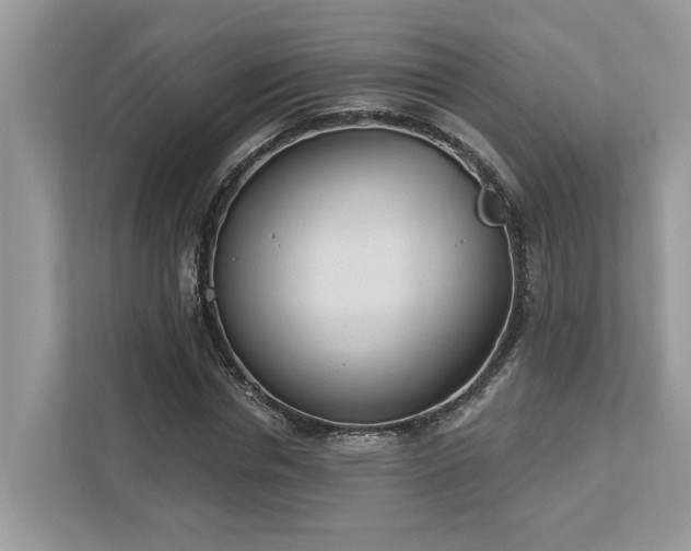 X0000112980826200908271141