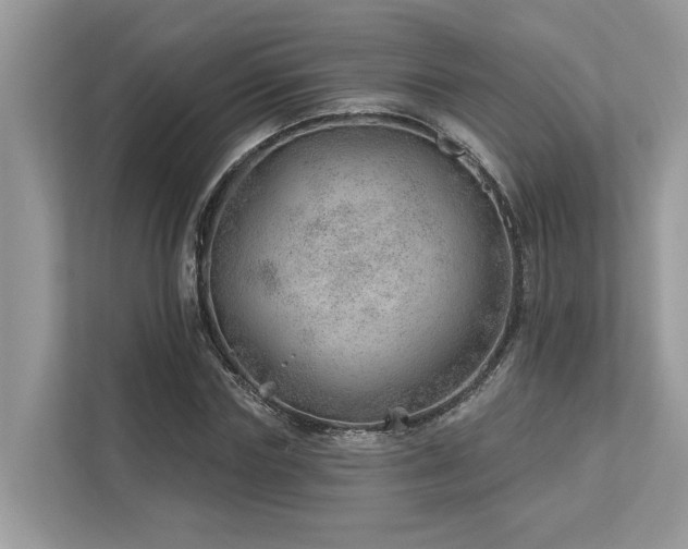 X0000112980827200908271141