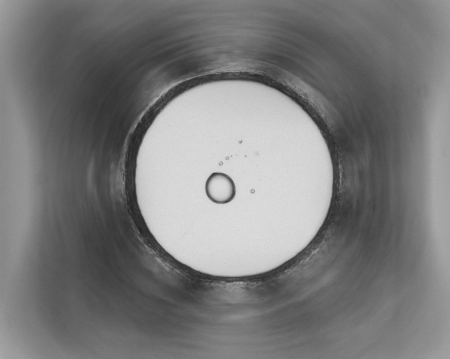 X0000112980828200908271141