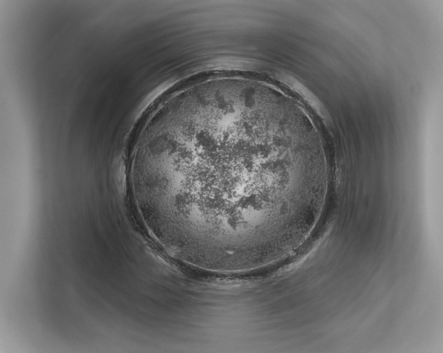 X0000112980829200908271141