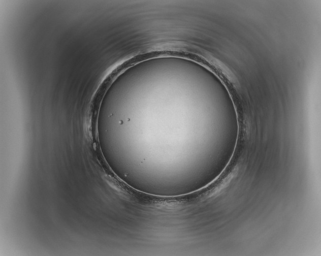 X0000112980830200908271141
