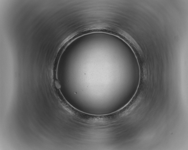 X0000112980834200908271141