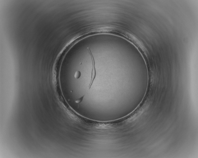 X0000112980835200908271141