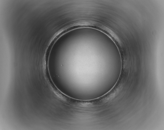 X0000112980837200908271141