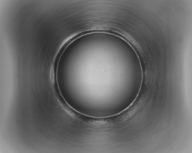 X0000112980838200908271141