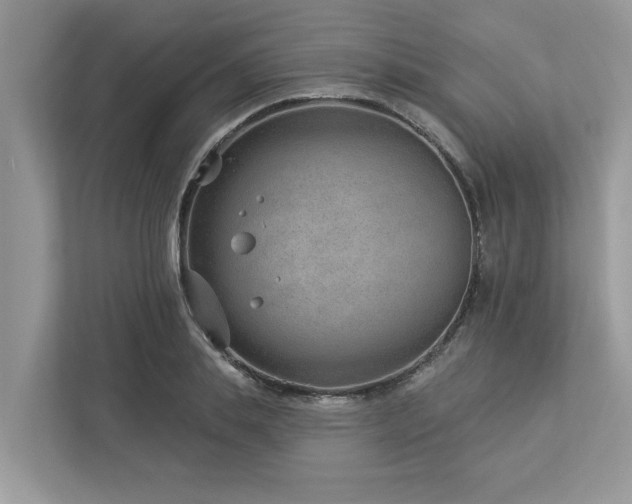 X0000112980839200908271141