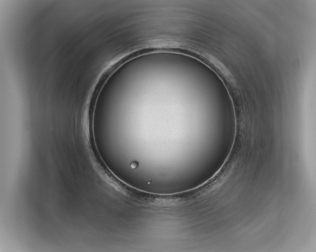 X0000112980840200908271141