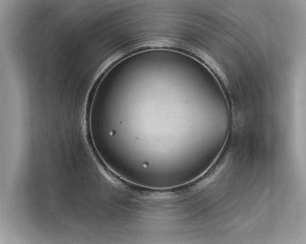 X0000112980845200908271141