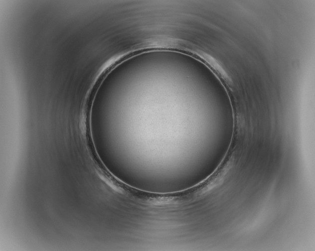 X0000112980846200908271141