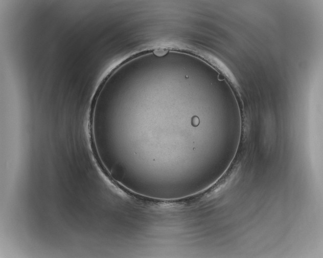 X0000112980847200908271141