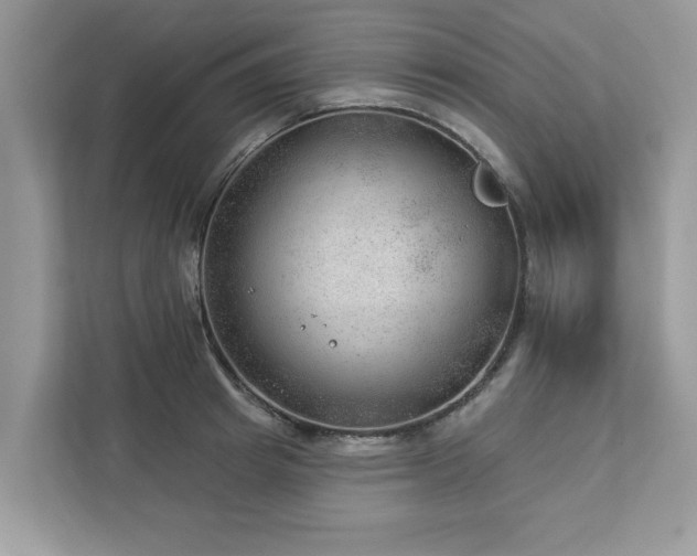 X0000112980849200908271141