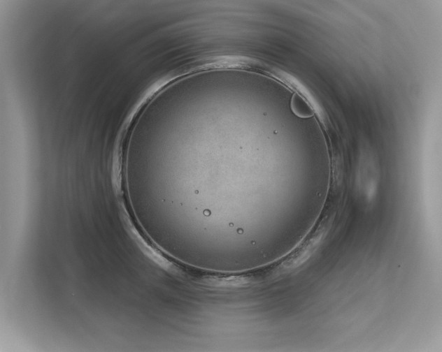 X0000112980851200908271142
