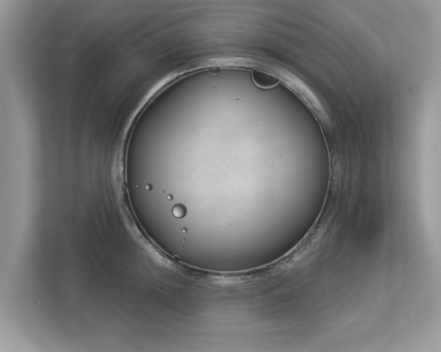 X0000112980852200908271142