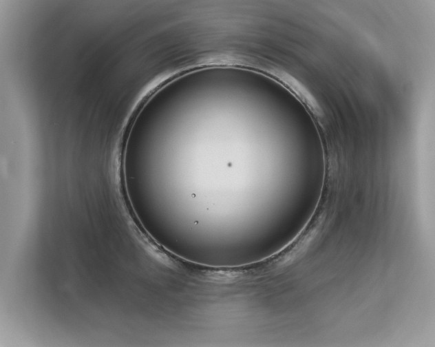 X0000112980854200908271142