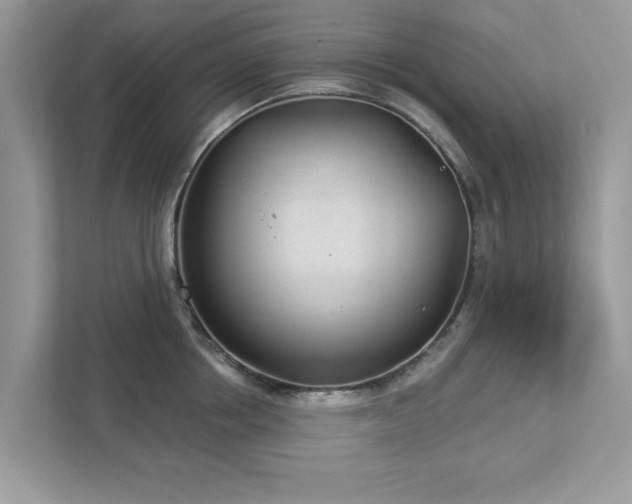 X0000112980858200908271142