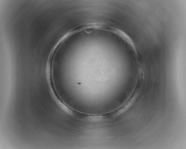 X0000112980859200908271142