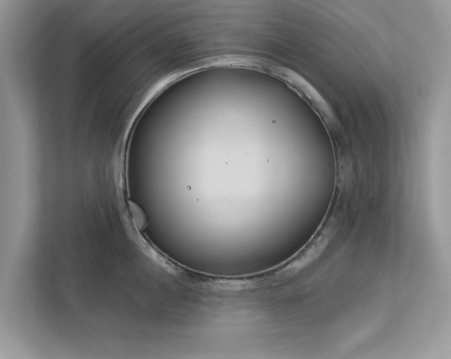 X0000112980860200908271142