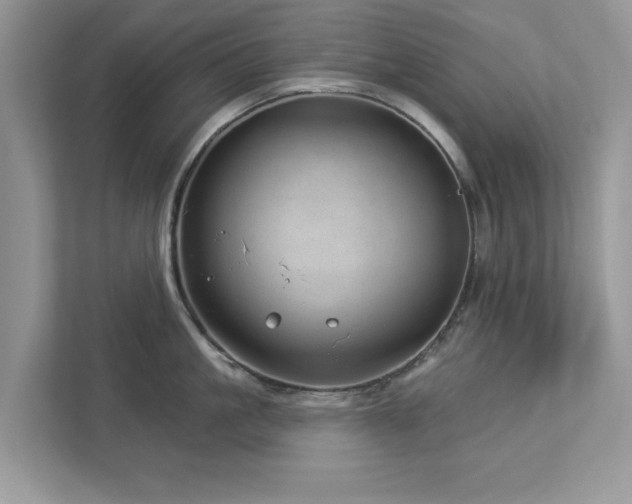 X0000112980861200908271142