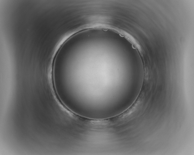 X0000112980863200908271142