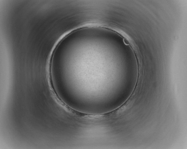 X0000112980864200908271142