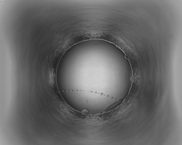 X0000112980866200908271141