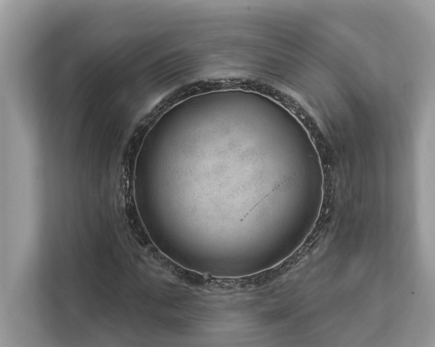 X0000112980871200908271141