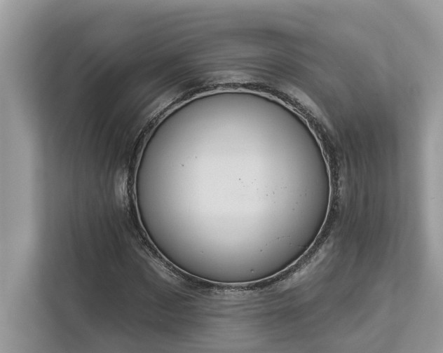 X0000112980873200908271141