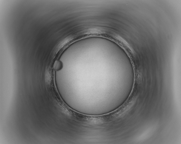 X0000112980874200908271141