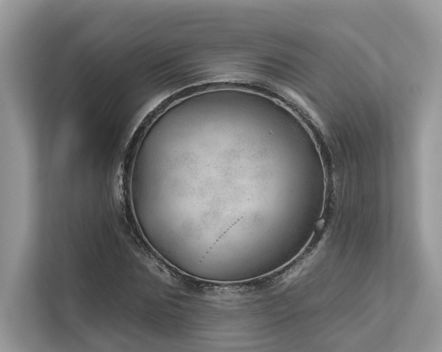X0000112980875200908271141