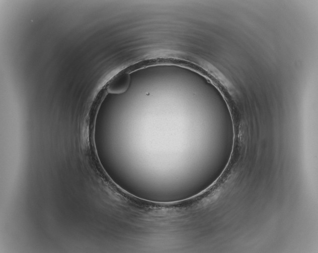 X0000112980877200908271141