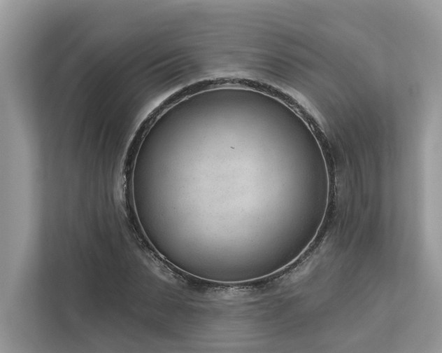 X0000112980879200908271141