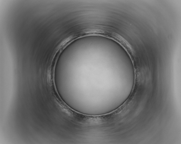 X0000112980882200908271141