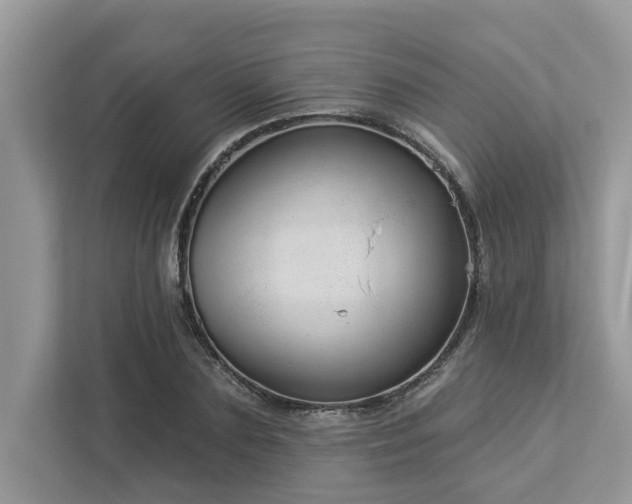 X0000112980883200908271141