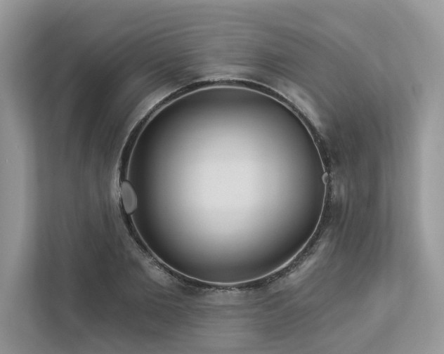 X0000112980885200908271141