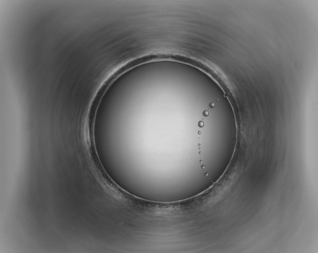X0000112980887200908271141