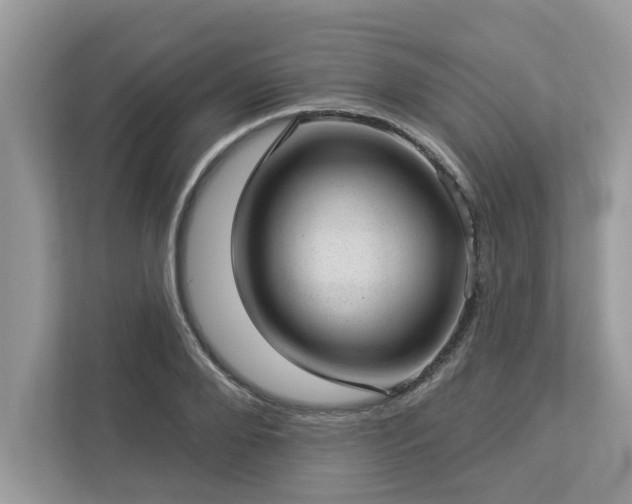 X0000112980888200908271141