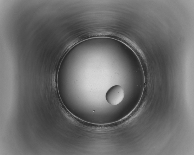 X0000112980889200908271141