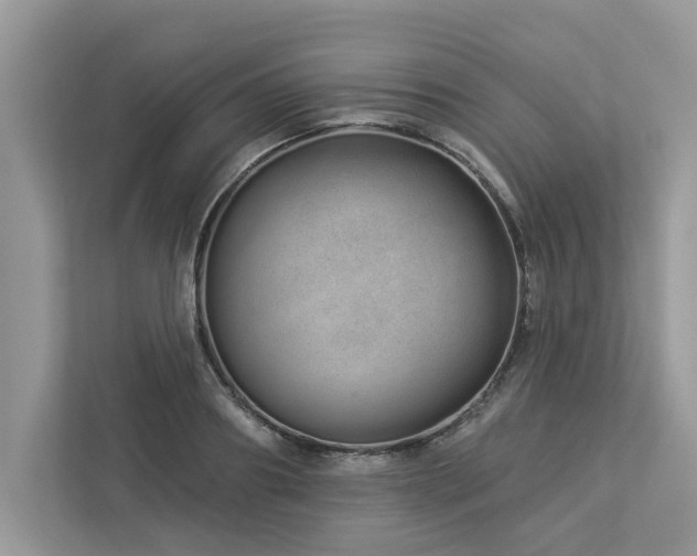 X0000112980890200908271141