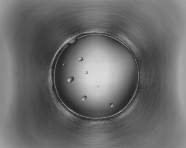 X0000112980892200908271141