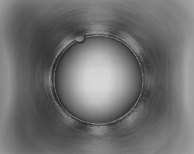 X0000112980893200908271141
