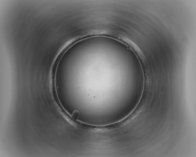 X0000112980894200908271141