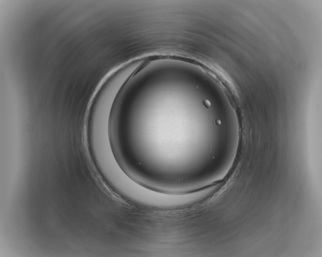 X0000112980896200908271141