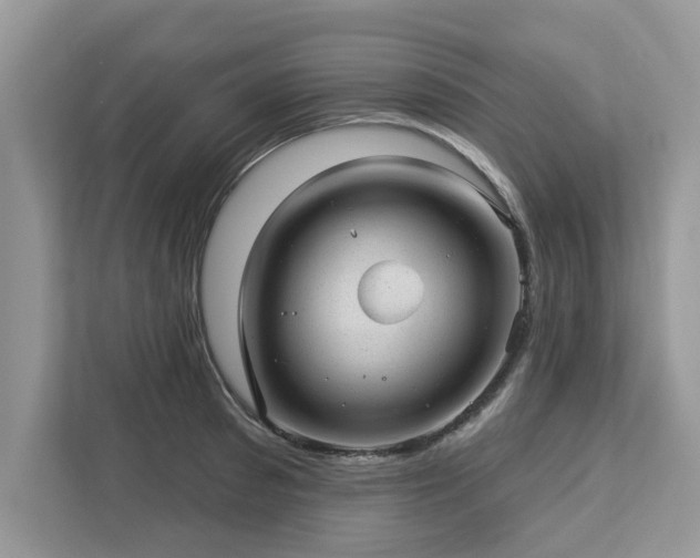 X0000112980897200908271141