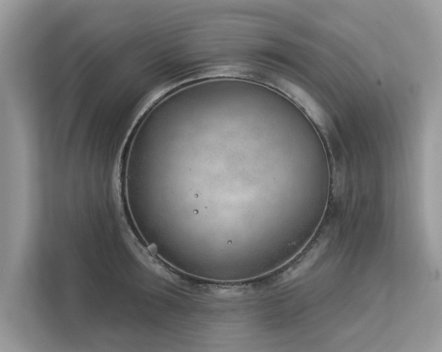 X0000112980899200908271141