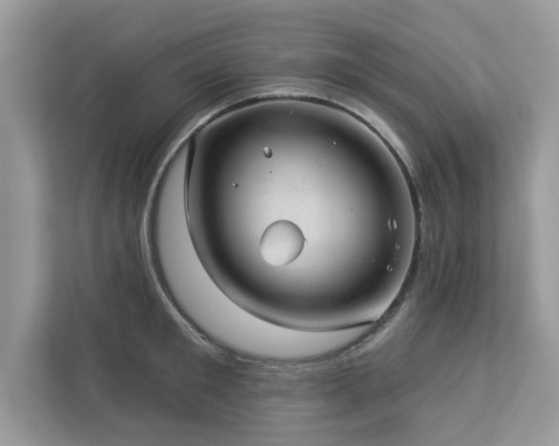X0000112980901200908271141
