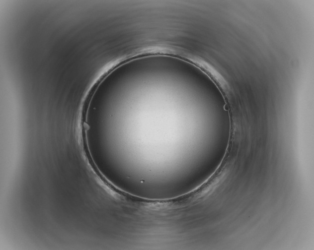 X0000112980902200908271141