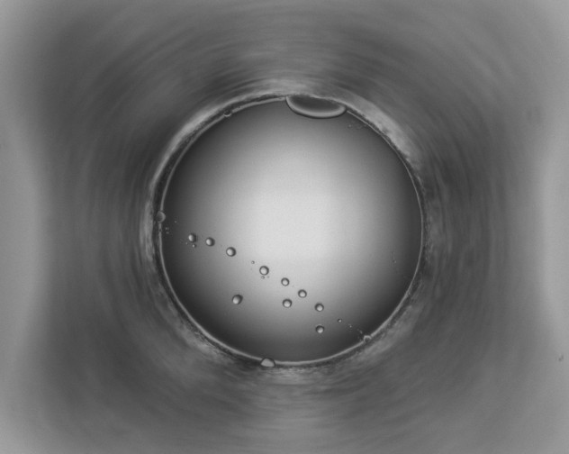 X0000112980904200908271141
